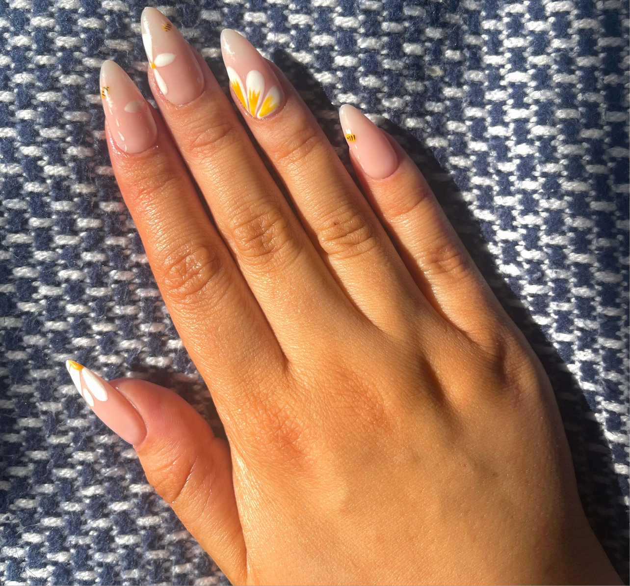 Apiary False Nails 1
